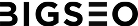 logo-agencia-seo-bigseoagency 1